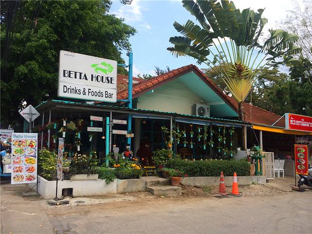 Betta House Drinks  Foods Bar