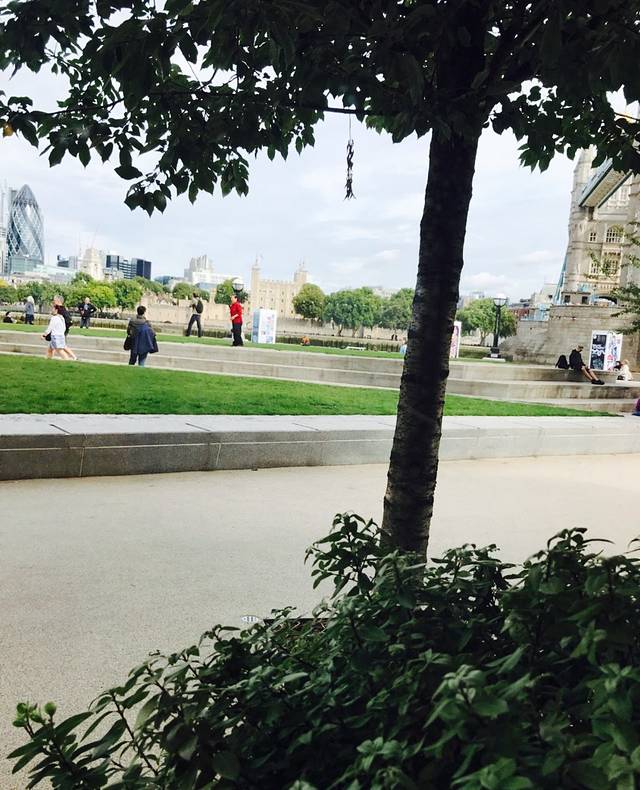 The Ivy Tower Bridge