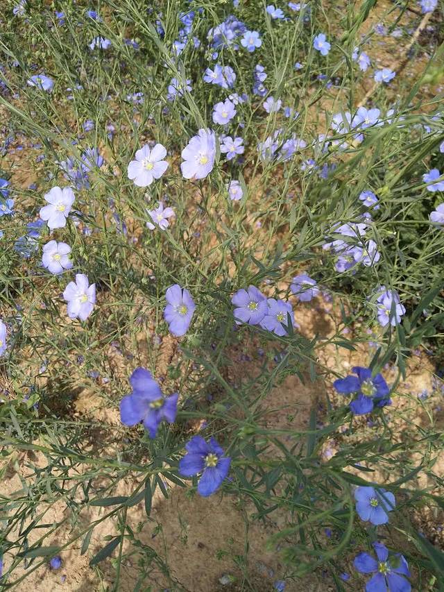 渝定诚重庆火锅(府西店)