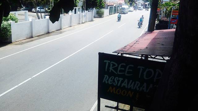 tree tops restaurant