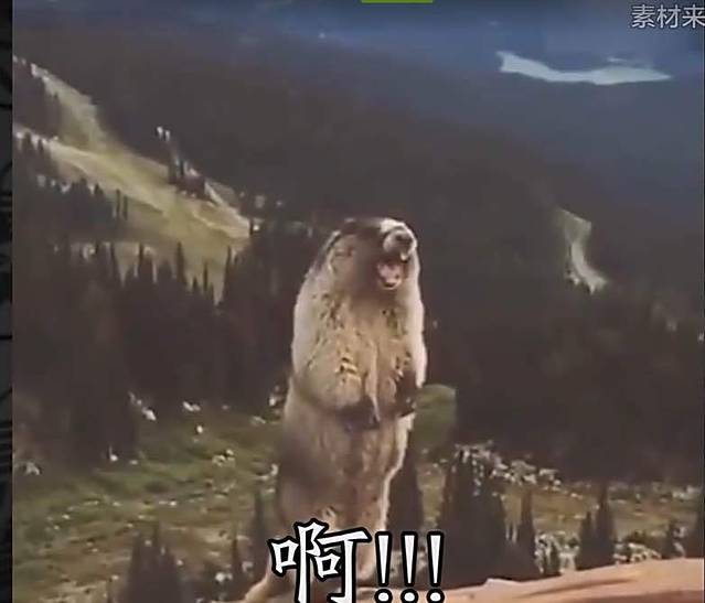 麦当劳(华中科技大学店)