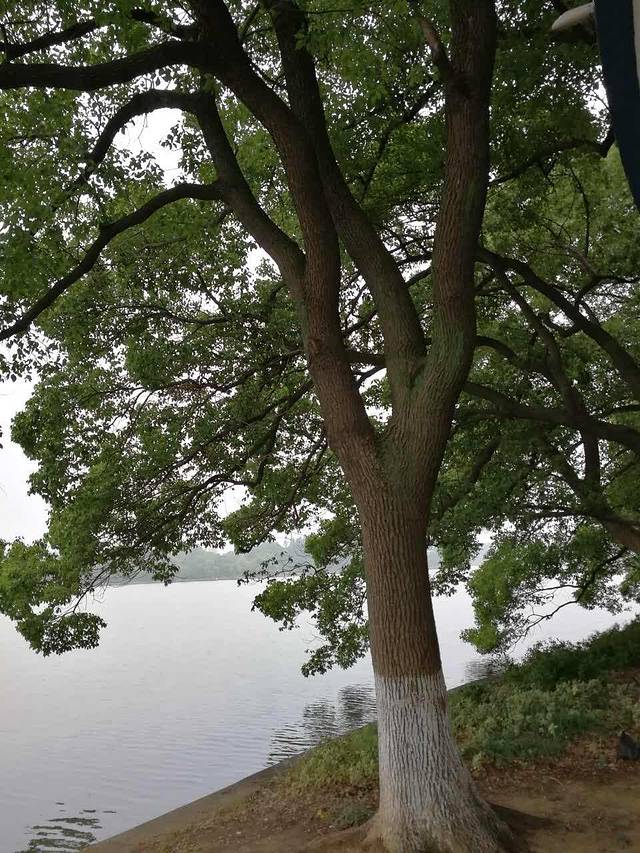 嘉韵水城(君盛桃源店)