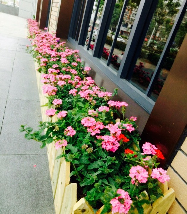 2019云晟火锅攻略,费县云晟火锅美食推荐,点评/电话/地址-【去哪儿