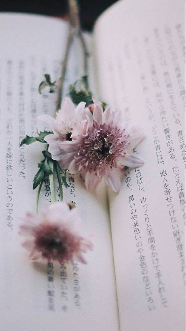 五味鲜肉抄手(温江总店)