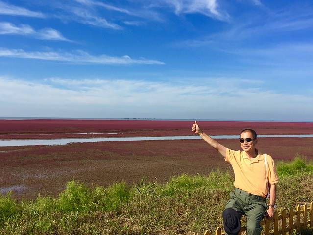兴城红海栈道景区