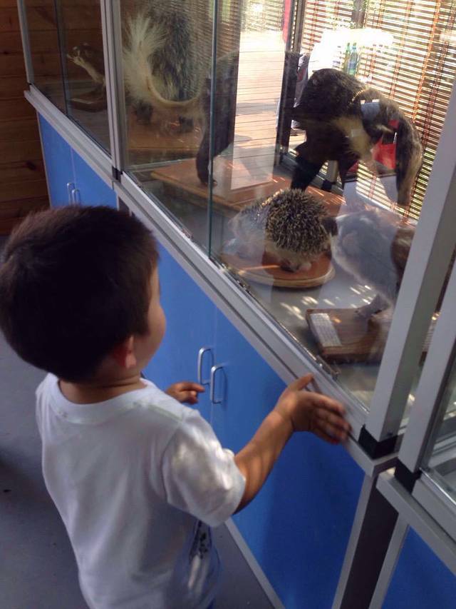 合肥工业大学翡翠湖校区第五食堂