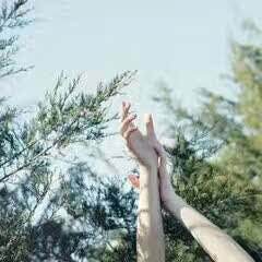 花旗芝语(绿色家园店)