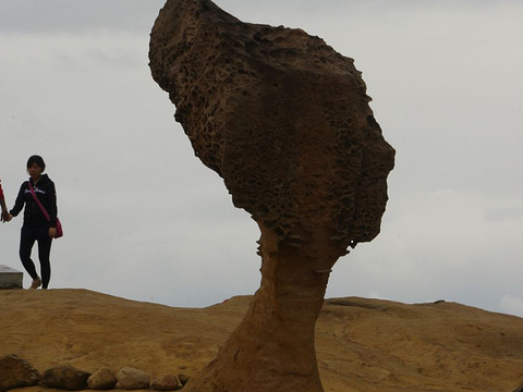 2021女王头 旅游攻略 门票 地址 问答 游记点评 新北旅游旅游景点推荐 去哪儿攻略