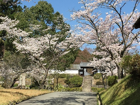 柳生芳德禅寺