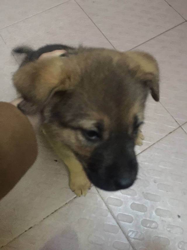 豆花妈妈(金沙路店)