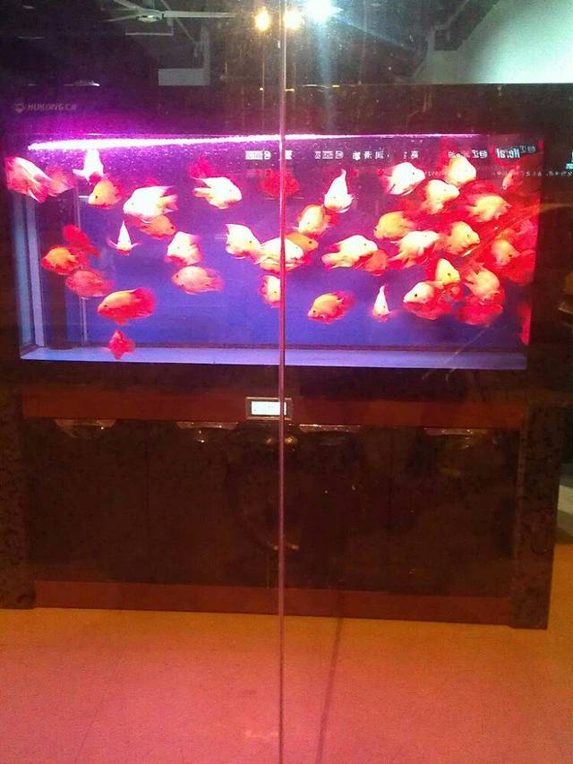 金鹰国际购物中心(淮北店)