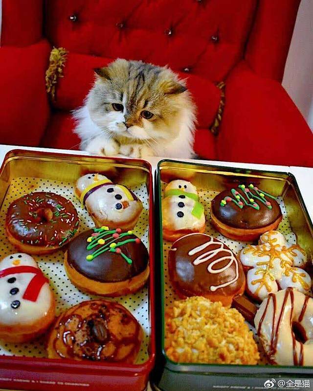 德克士(大庆东站店)