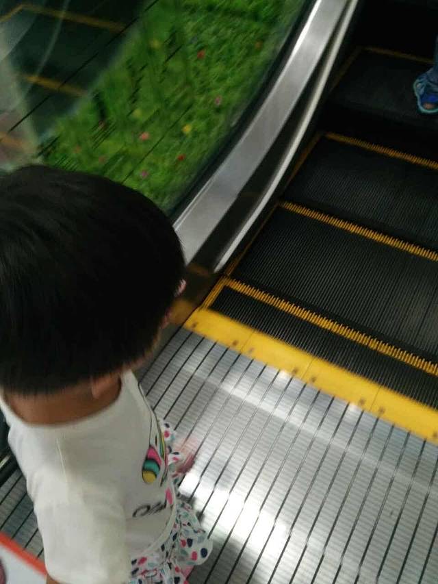 肯德基(蕾莎店)