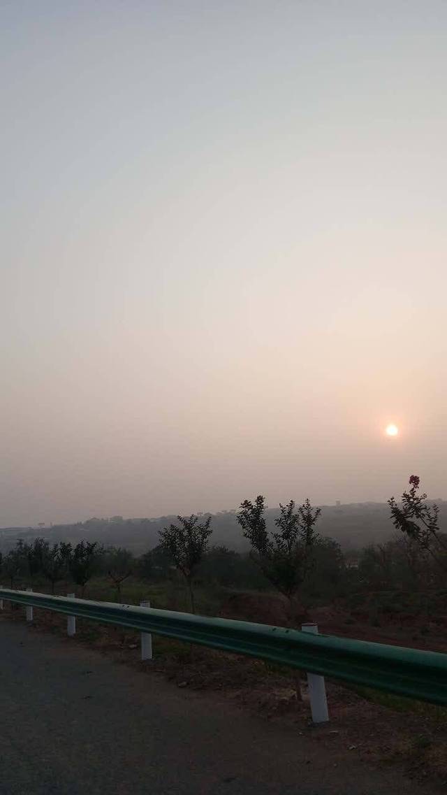 九多肉多(道北店)