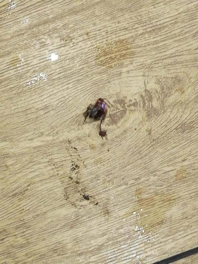 华莱士·全鸡汉堡(八卦嘴店)