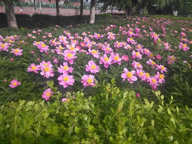 韩园自助(惠丰店)