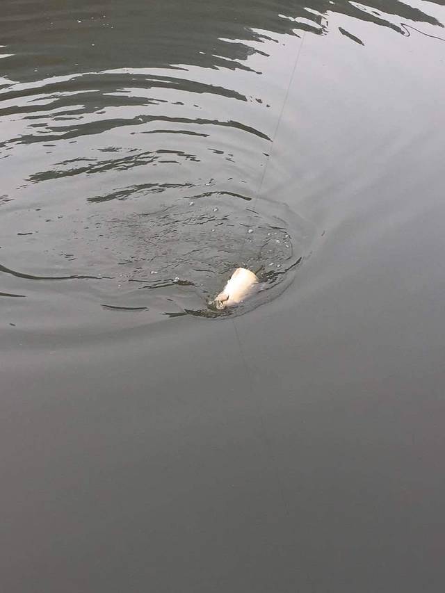 肖家院子(大学城店)