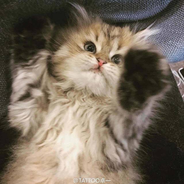 麦当劳(苏宁广场店)