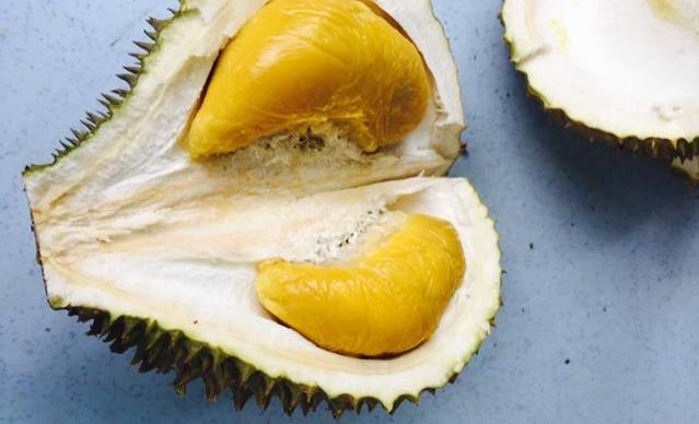 Donald's Durian