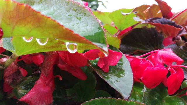 美食美客(中大店)