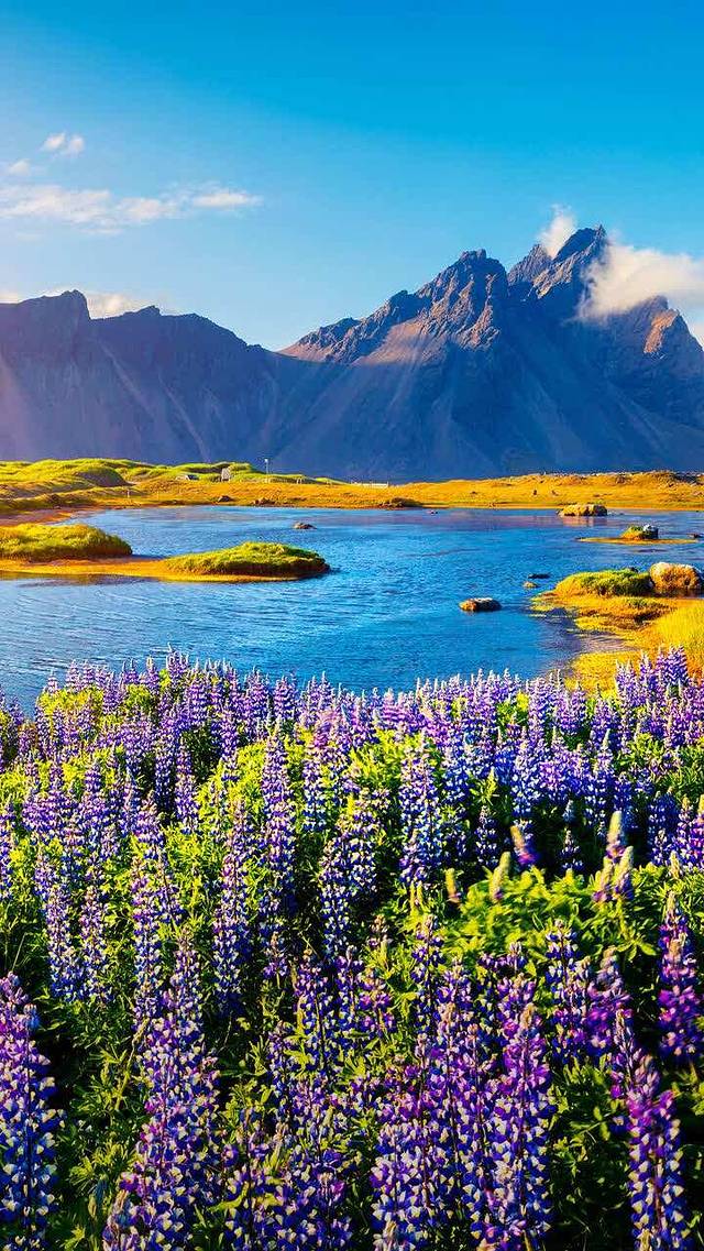 鸿福馒头(东岗怡园店)