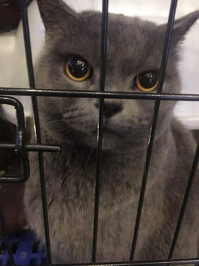 猫印咖啡·西餐·简餐(浑南奥体万达店)