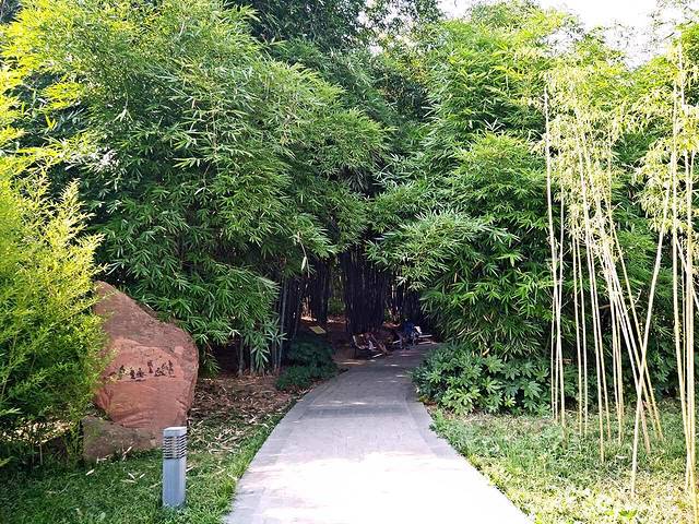 老字号张妈牛肉豆腐脑