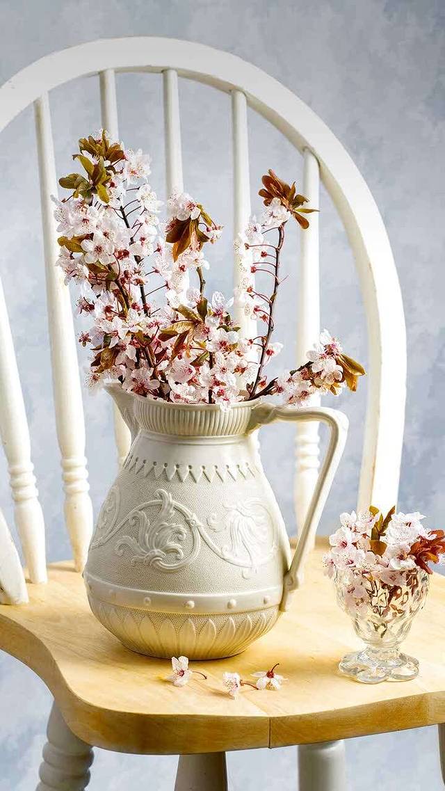 GANSO元祖食品(南京桥北店)