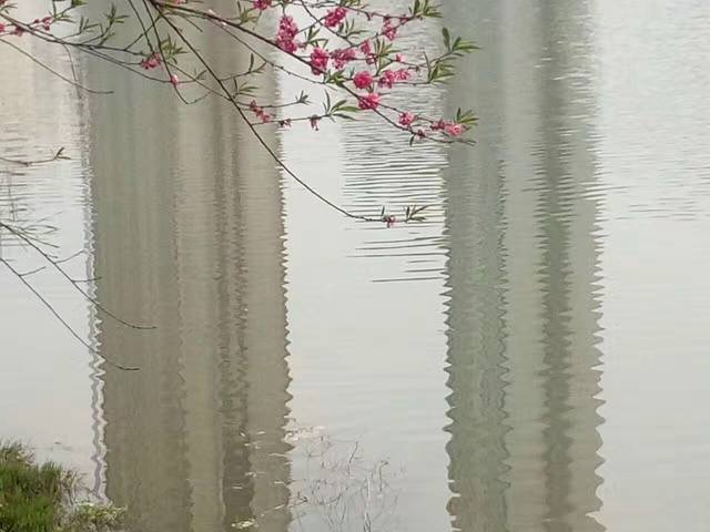 铜鼓山城味道餐饮店(城南东路店)