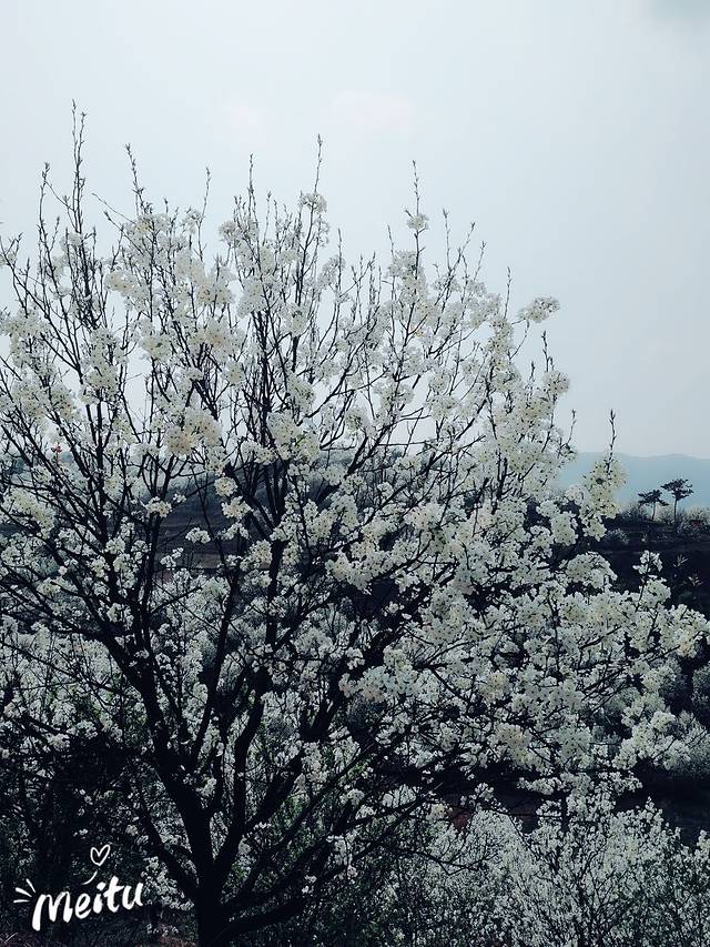 加级寨梨花谷老王农家乐