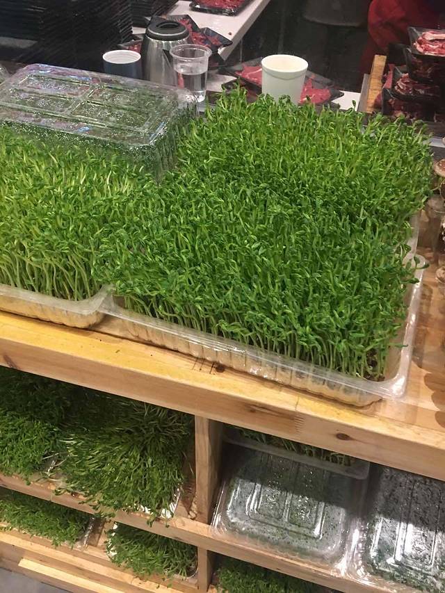 粤牛潮汕牛肉火锅(万达国贸店&东园东路店)