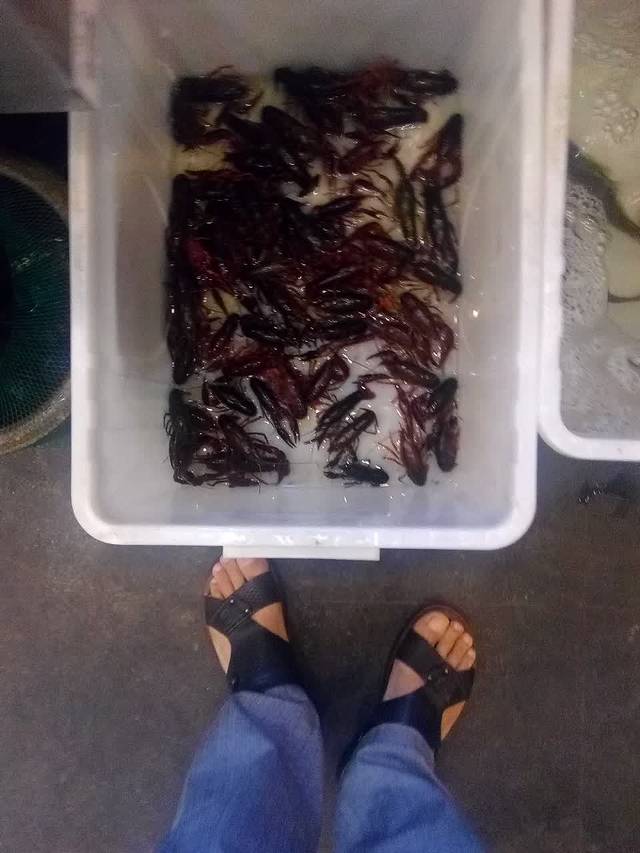 百味屋(塘东街店)