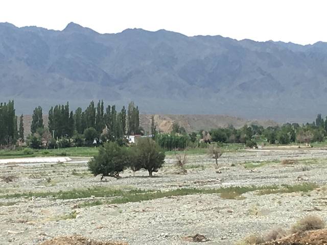 达板城东沟河谷次生林景区