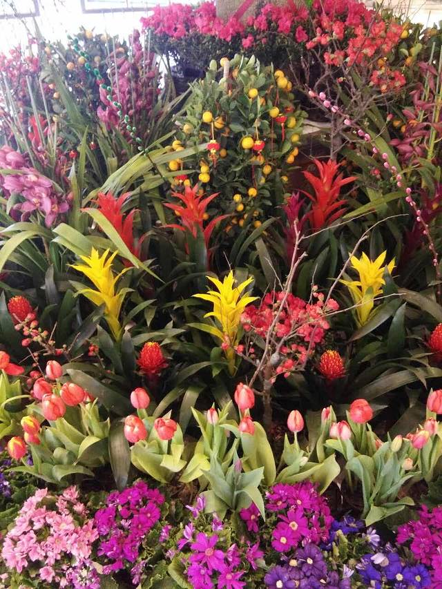 桂新园(双塔店)