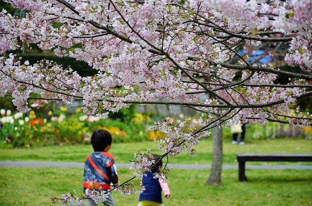 白野江植物公园