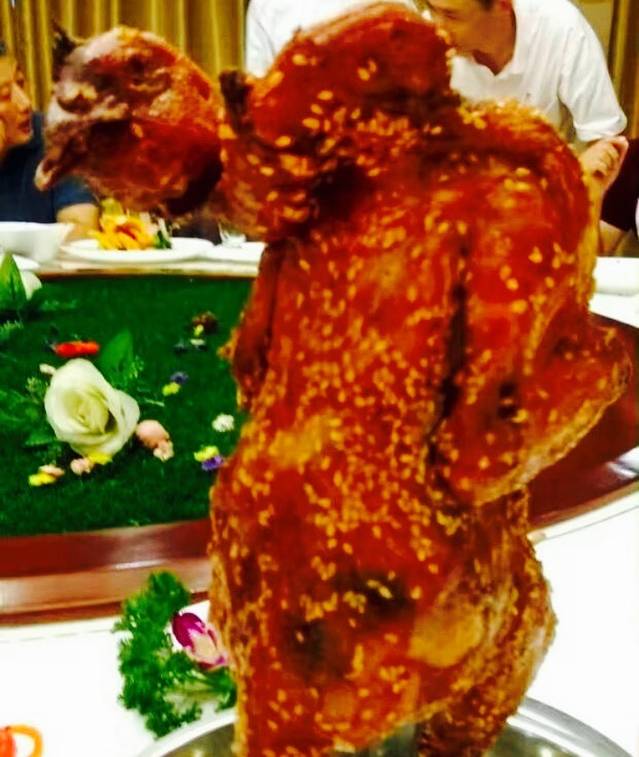 大长今食府(和泰店)