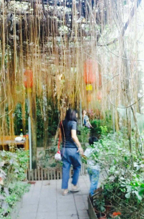 梦里黎乡农家乐