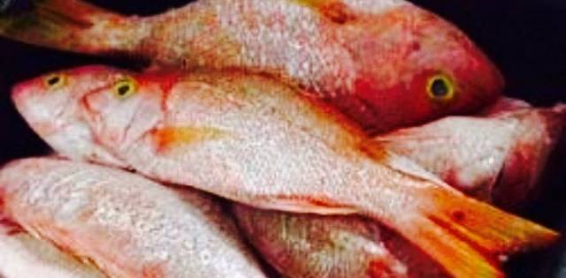 Jerry's Sea Food Restaurant