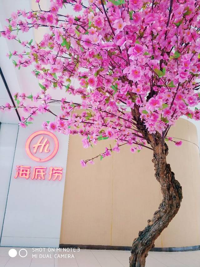 海底捞火锅(新华联店)