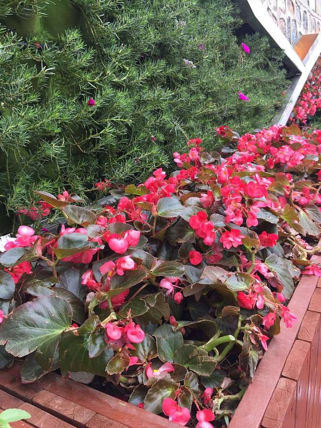 仨锅逗名家川菜