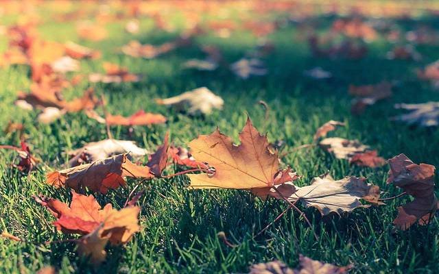 肯德基(博罗餐店)