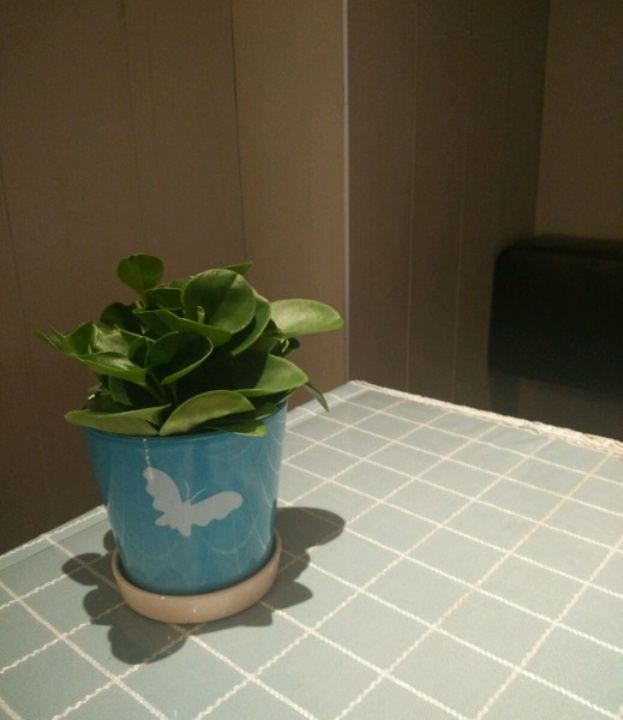 肯德基(火炬大街DT店)