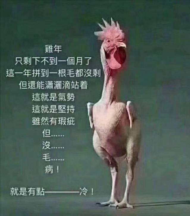 心连心艺术蛋糕店(团结大街店)