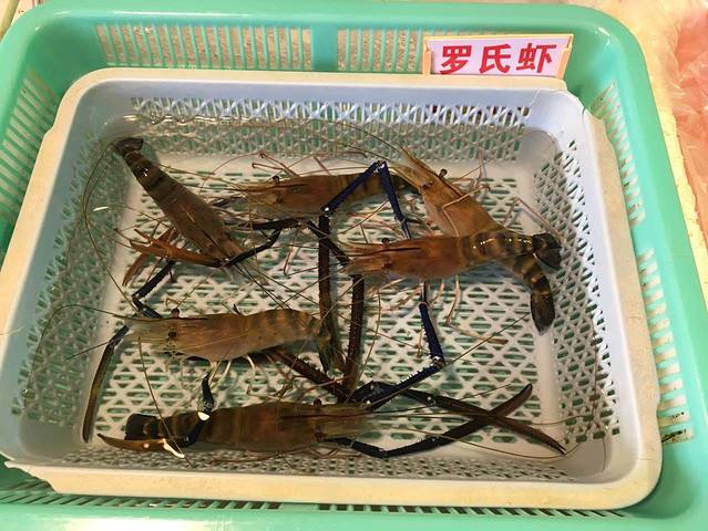 海角一号(湾仔海鲜街店)