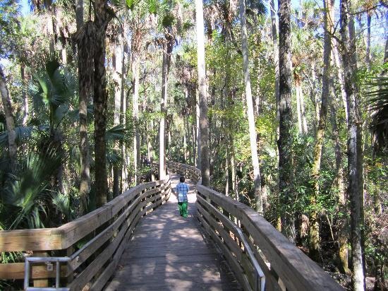 Blue Spring State Park