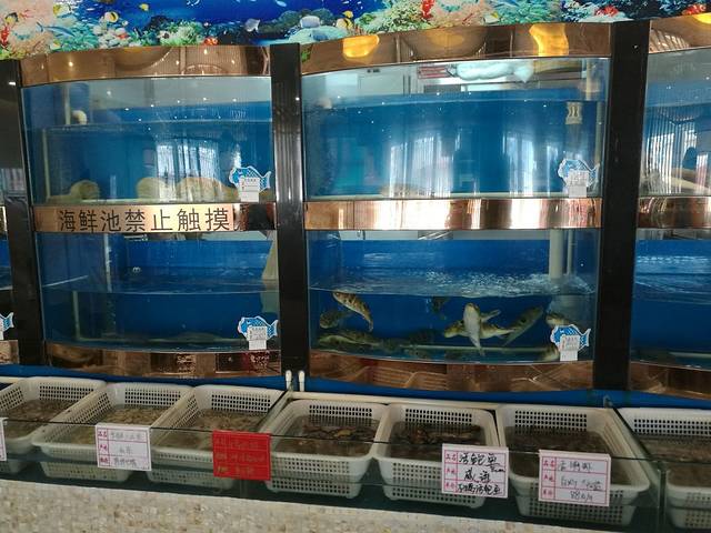 泰合鲜·精品鲁菜(奥运村店)