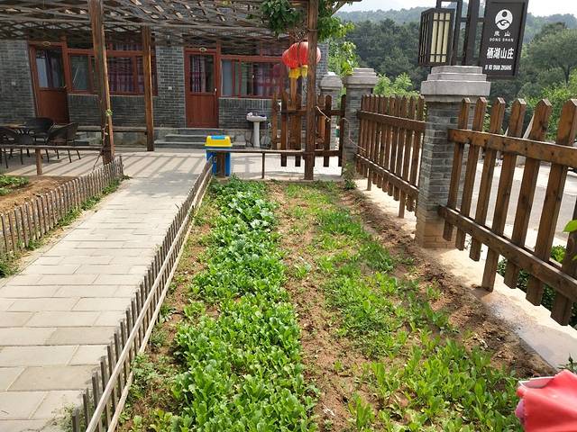 梨木台栖湖山庄精品农家院