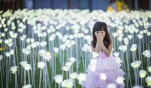 杨铭宇黄焖鸡米饭(江东路店)