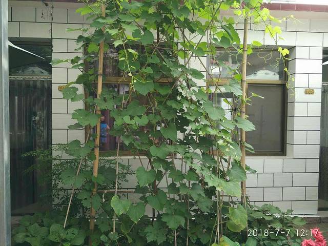 古北水镇珍龙民俗饭庄