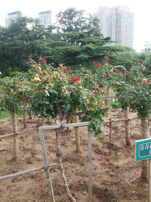 恒彤私家菜(振兴路店)